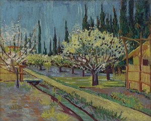 Orchard Bordered by Cypresses by Vincent van Gogh
