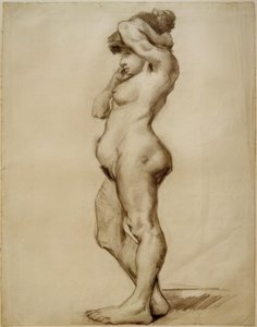 Standing Female Nude