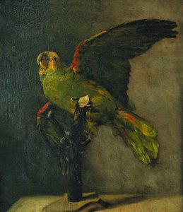 The Green Parrot