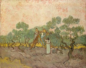 The Olive Pickers, Saint-Remy