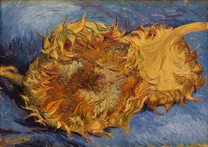 The Sunflowers