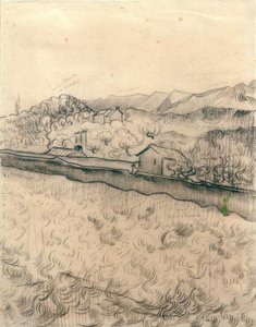 Walled Field