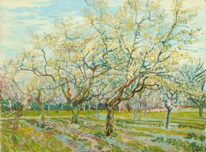 The White Orchard by Vincent van Gogh