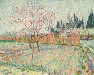 Orchard with Cypresses by Vincent van Gogh