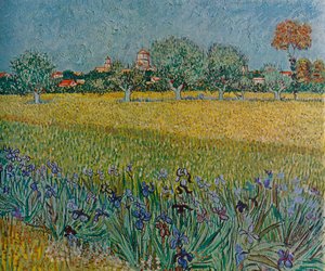 View of Ales with Irises in Bloom by Vincent van Gogh