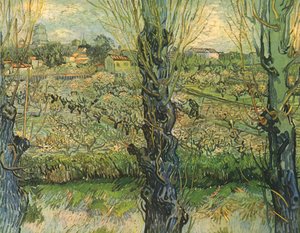 View of Arles