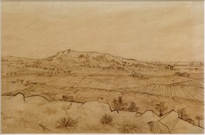 View of the Crau by Vincent van Gogh