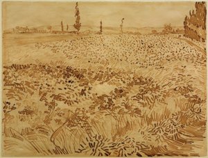 Wheat Field