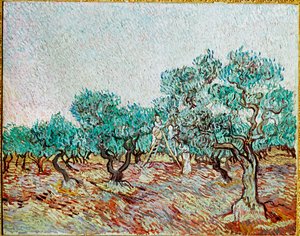 Women Picking Olives by Vincent van Gogh