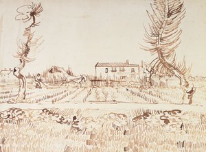 Working the Fields at Arles