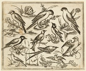 Eleven Birds Sitting on Patches of Flowering Foliage and Small Branches by Virgil Solis