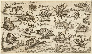 Insects, reptiles, snails, and fish on minimal ground with water in foreground by Virgil Solis