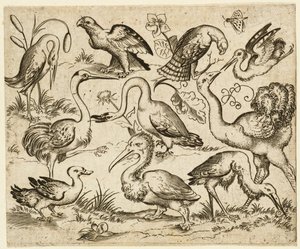 Ostrich on Left Side with Nine Other Birds, Including a Heron and a Pelican by Virgil Solis