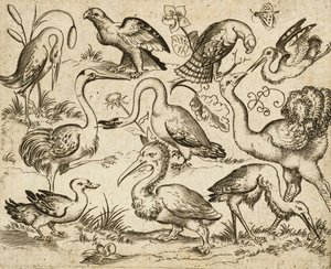 Ostrich on Left Side with Nine Other Birds, Including a Heron and a Pelican, Depicted on a Minimal Ground with Patches of Foliage Around Some of the Birds, from Douce Ornament Prints Album I, after 1557 by Virgilius the elder (after) Solis