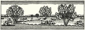 Illustration for Tess Of The D