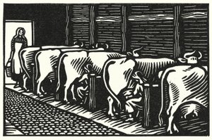 Illustration for Tess Of The D