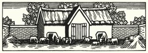 Illustration for Tess of the d