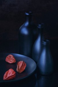 Physalis and Blue Bottles by Vladimir Pavlovskyy