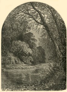 Moss Islands, in the Juniata, 1874 by W.H. Morse