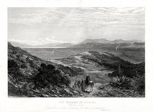 The Waters of Merom, Palestine, 1887 by W. Forrest