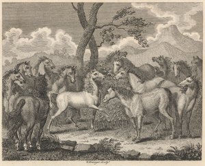 The Council of Horses