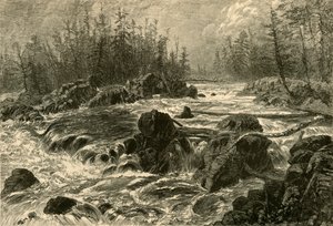 The Dalles of the St. Louis by W. J. Linton