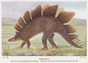 Stegosaurus