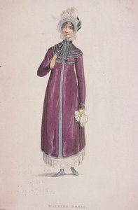 A Woman in a Walking Dress by W Read