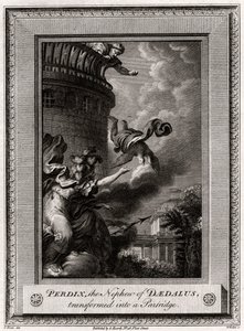 Perdix, the Nephew of Daedalus, Transformed into a Partridge, 1774 by W. Walker