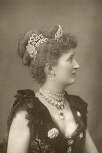 Lady Carew, courtier by W. and D. Downey