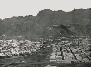 General View Showing the Camel Market, Aden by W and S Ltd