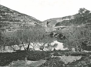 The Pool of Siloam, Jerusalem, Palestine by W and S Ltd