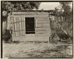 Chicken Coop on Floyd Burroughs