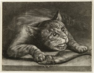 Cat with a Fish by Wallerant Vaillant