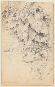 Study of Plants at the Edge of Water, High Bridge by Walter Clark