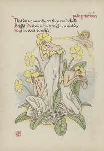 Flowers from Shakespeare
