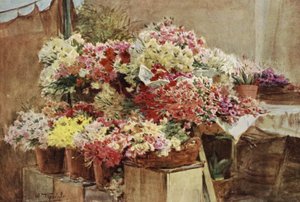 Flower Stall, Mentone Market