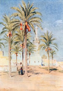 The Mosque at Aboukir