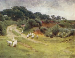 The New Forest: Royden Common, near Brokenhurst by Walter Frederick Roofe Tyndale