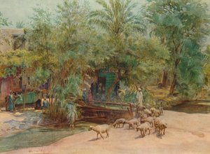 The Village of Marg