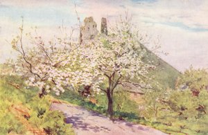 Wessex: Spring in Wessex