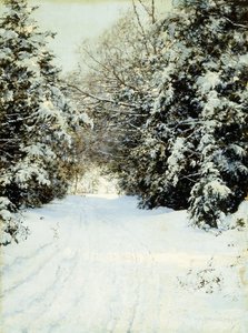 Snow-Laden Trees