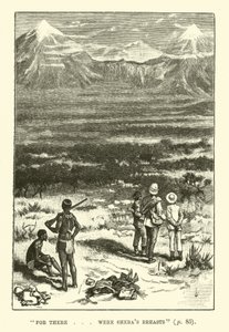 Illustration for King Solomon