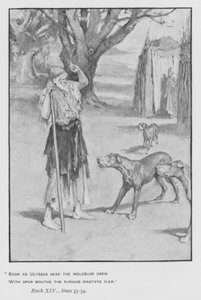 Illustration for Pope