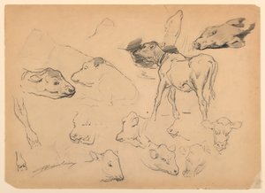 Studies of Cattle, Heads of Sheep and a Hog by Walter Shirlaw