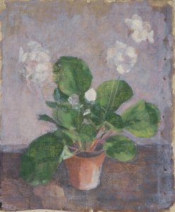 Still Life with Flower Pot