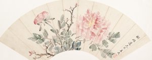 Peony