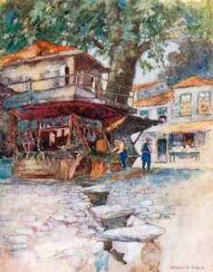 A Village Store at Kavak