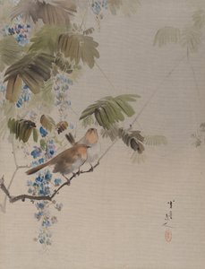 Birds and Flowers