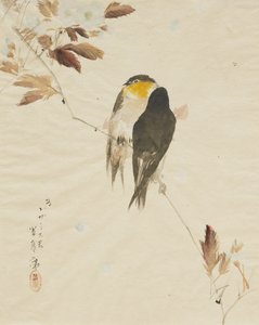 Birds on a Branch